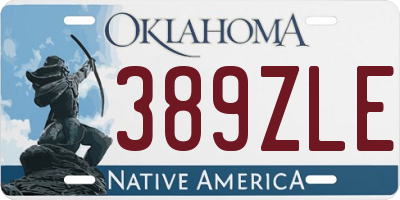 OK license plate 389ZLE