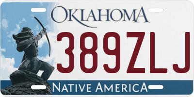 OK license plate 389ZLJ