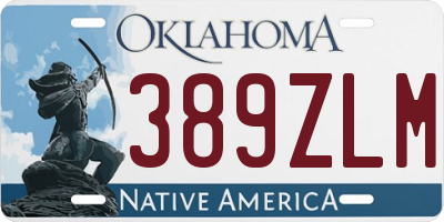 OK license plate 389ZLM