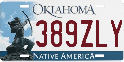 OK license plate 389ZLY