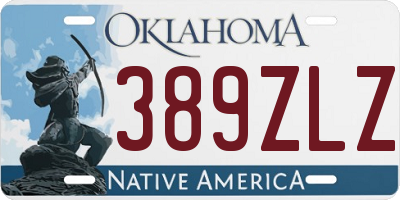 OK license plate 389ZLZ