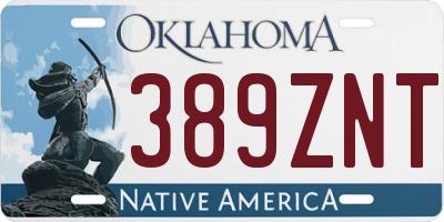 OK license plate 389ZNT