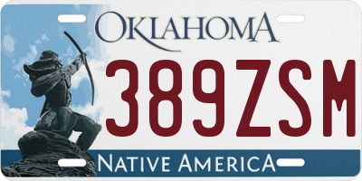 OK license plate 389ZSM