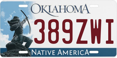 OK license plate 389ZWI