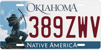 OK license plate 389ZWV