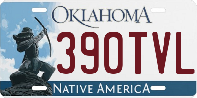 OK license plate 390TVL