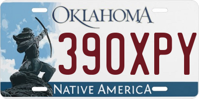 OK license plate 390XPY