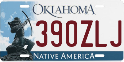 OK license plate 390ZLJ