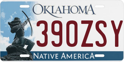 OK license plate 390ZSY