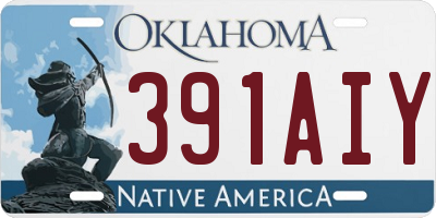 OK license plate 391AIY