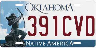 OK license plate 391CVD