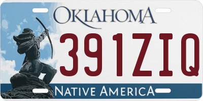 OK license plate 391ZIQ
