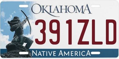 OK license plate 391ZLD