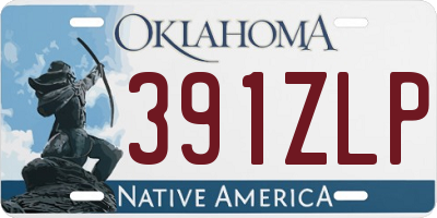 OK license plate 391ZLP
