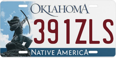 OK license plate 391ZLS