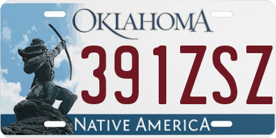 OK license plate 391ZSZ