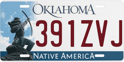 OK license plate 391ZVJ