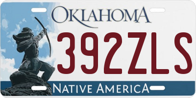 OK license plate 392ZLS