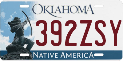 OK license plate 392ZSY