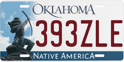 OK license plate 393ZLE