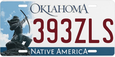 OK license plate 393ZLS