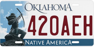 OK license plate 420AEH
