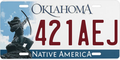 OK license plate 421AEJ
