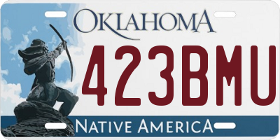 OK license plate 423BMU