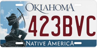 OK license plate 423BVC
