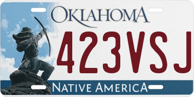 OK license plate 423VSJ