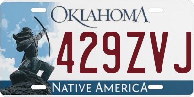 OK license plate 429ZVJ