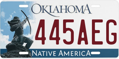 OK license plate 445AEG