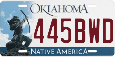 OK license plate 445BWD