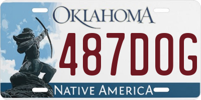 OK license plate 487DOG