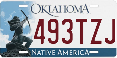 OK license plate 493TZJ