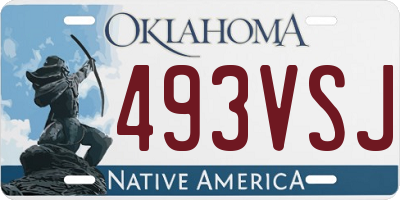 OK license plate 493VSJ