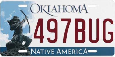 OK license plate 497BUG