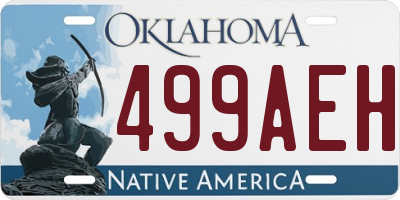 OK license plate 499AEH