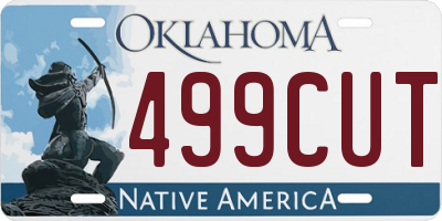 OK license plate 499CUT