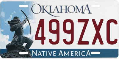 OK license plate 499ZXC