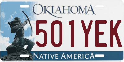 OK license plate 501YEK
