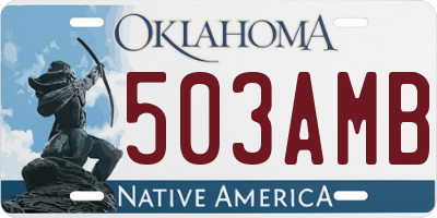 OK license plate 503AMB