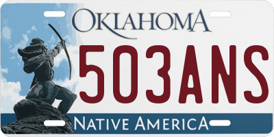 OK license plate 503ANS