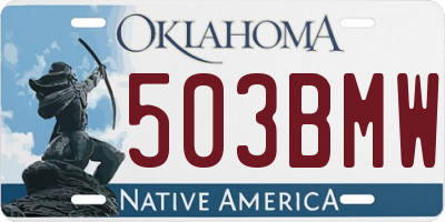 OK license plate 503BMW