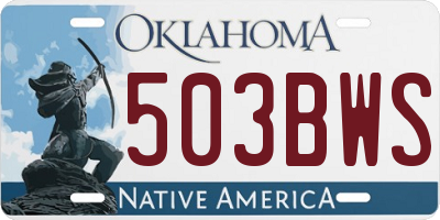 OK license plate 503BWS