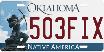 OK license plate 503FIX