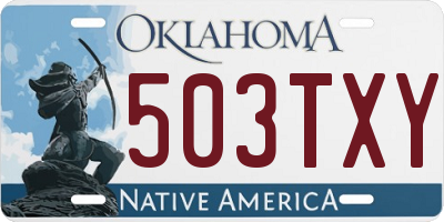 OK license plate 503TXY