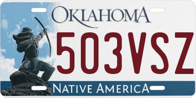 OK license plate 503VSZ