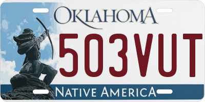 OK license plate 503VUT