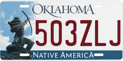 OK license plate 503ZLJ